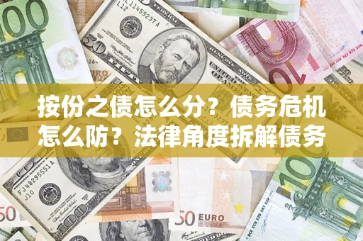 武汉按份之债怎么分？债务危机怎么防？法律角度拆解债务分配与风险自保指南