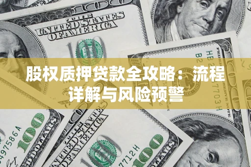 武汉股权质押贷款全攻略：流程详解与风险预警