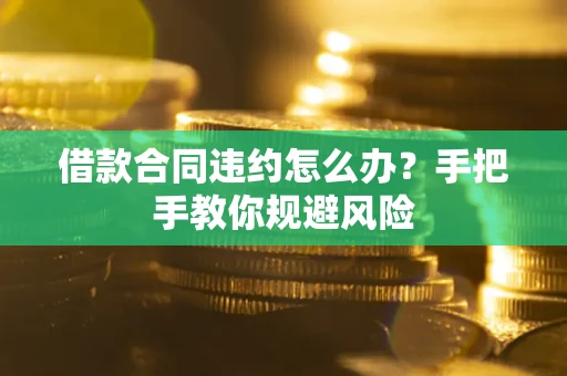 武汉借款合同违约怎么办？手把手教你规避风险