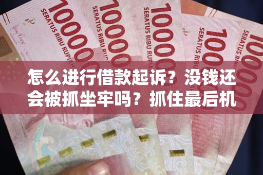武汉怎么进行借款起诉？没钱还会被抓坐牢吗？抓住最后机会！