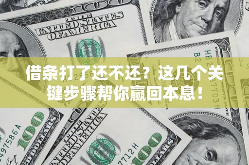 武汉借条打了还不还？这几个关键步骤帮你赢回本息！