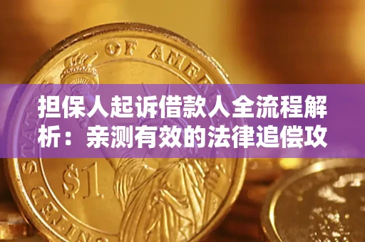 武汉担保人起诉借款人全流程解析：亲测有效的法律追偿攻略