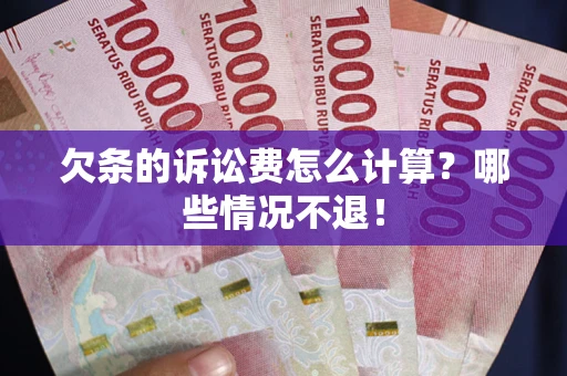 武汉欠条的诉讼费怎么计算？哪些情况不退！