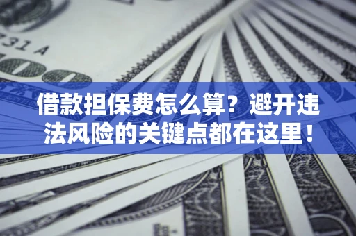 武汉借款担保费怎么算？避开违法风险的关键点都在这里！