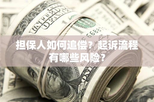 武汉担保人如何追偿？起诉流程有哪些风险？