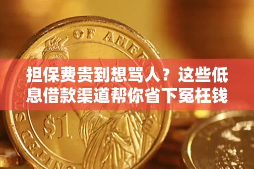 武汉担保费贵到想骂人？这些低息借款渠道帮你省下冤枉钱