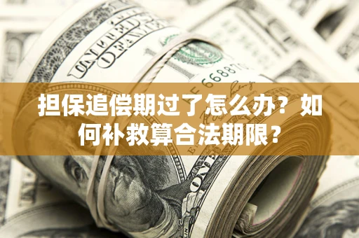 武汉担保追偿期过了怎么办？如何补救算合法期限？