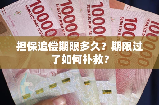 武汉担保追偿期限多久？期限过了如何补救？