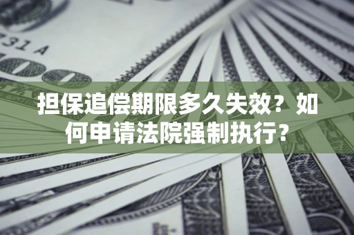武汉担保追偿期限多久失效？如何申请法院强制执行？