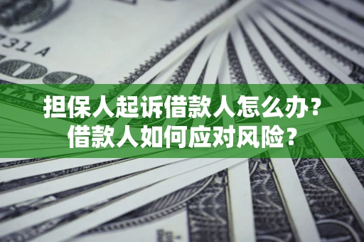 武汉担保人起诉借款人怎么办？借款人如何应对风险？