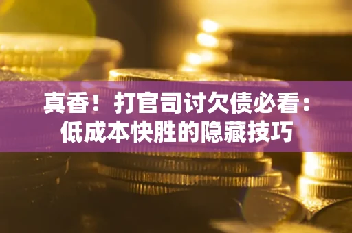 武汉真香！打官司讨欠债必看：低成本快胜的隐藏技巧