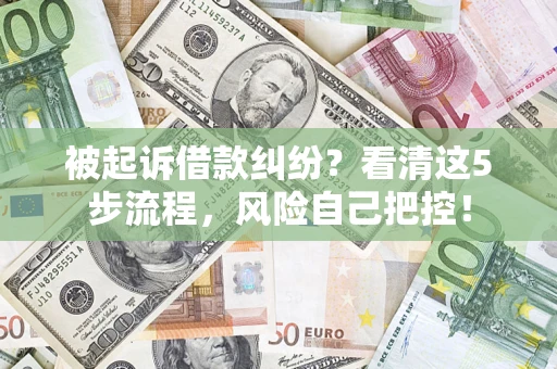 武汉被起诉借款纠纷？看清这5步流程，风险自己把控！