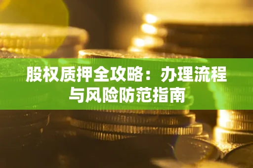 武汉股权质押全攻略：办理流程与风险防范指南