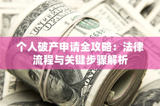 武汉个人破产申请全攻略：法律流程与关键步骤解析