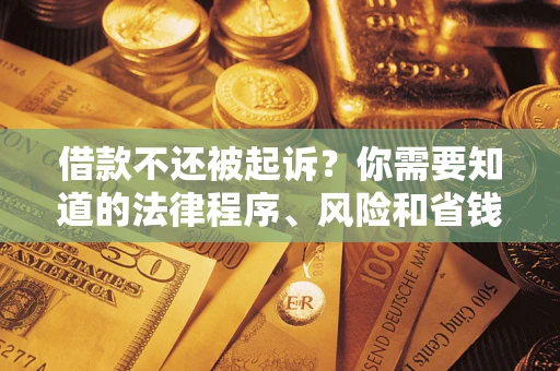 武汉借款不还被起诉？你需要知道的法律程序、风险和省钱技巧