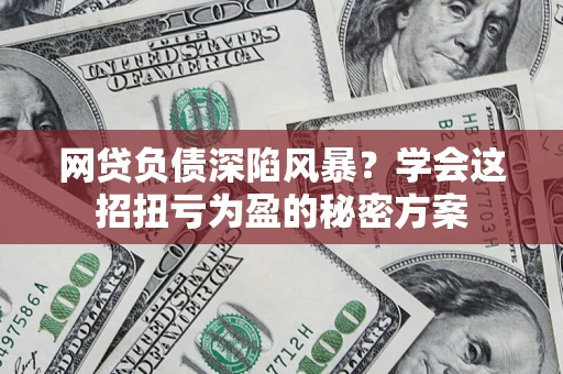 武汉网贷负债深陷风暴？学会这招扭亏为盈的秘密方案