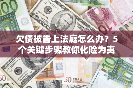 武汉欠债被告上法庭怎么办？5个关键步骤教你化险为夷