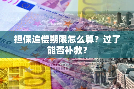 武汉担保追偿期限怎么算？过了能否补救？